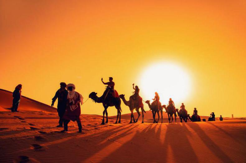 Pustynia  Sahara